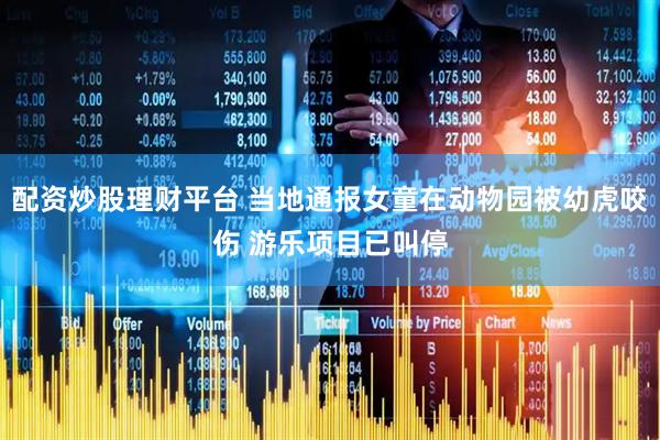 配资炒股理财平台 当地通报女童在动物园被幼虎咬伤 游乐项目已叫停